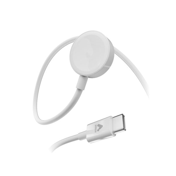 USB-C to Apple Watch Charger